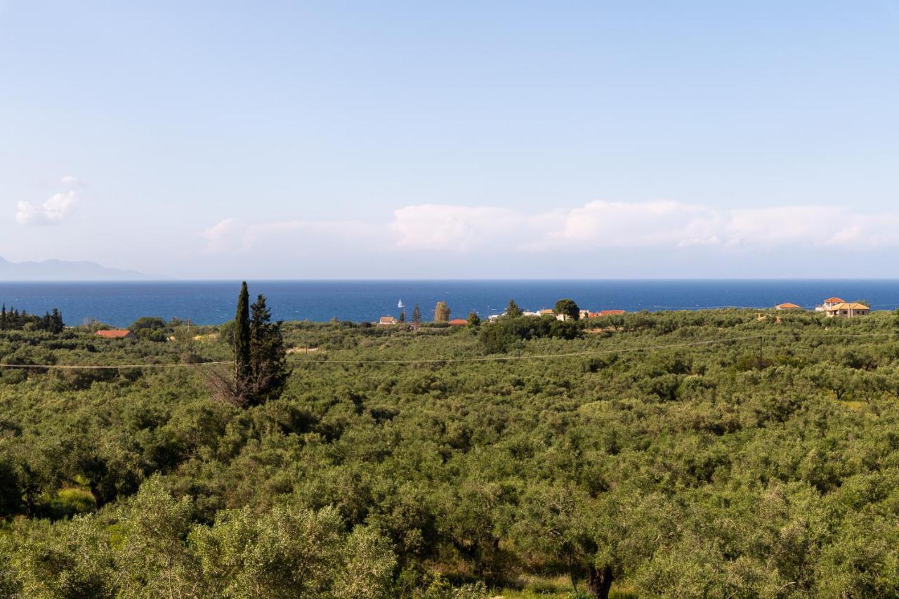 טרגקי Mysa Nature Apartments מראה חיצוני תמונה